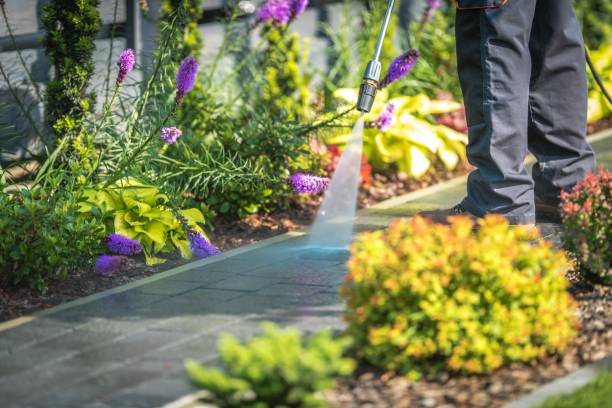 Best Patio and Deck Pressure Washing  in Ste Genevieve, MO